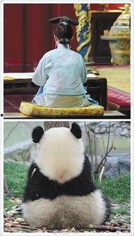 娱乐圈吃瓜群众bjyx,揭秘bjyx背后的故事与真相