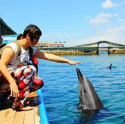 娱乐718.吃瓜三亚,揭秘718吃瓜狂欢背后的精彩故事