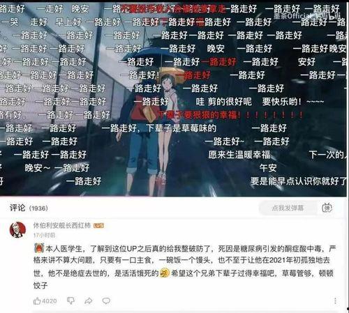 娱乐圈吃瓜游戏视频