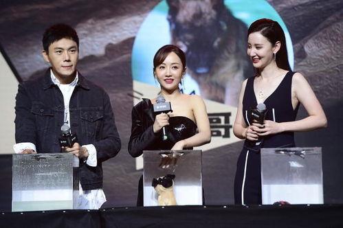 娱乐圈吃瓜爆料节目,吃瓜爆料节目深度解析